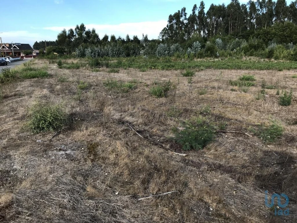 Terreno para Venda em Ovar, São João, Arada e São Vicente de Pereira Jusã Foto 7