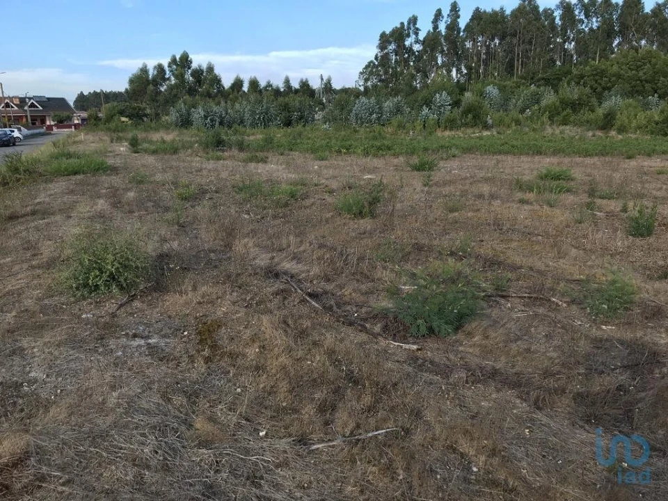 Terreno para Venda em Ovar, São João, Arada e São Vicente de Pereira Jusã Foto 3