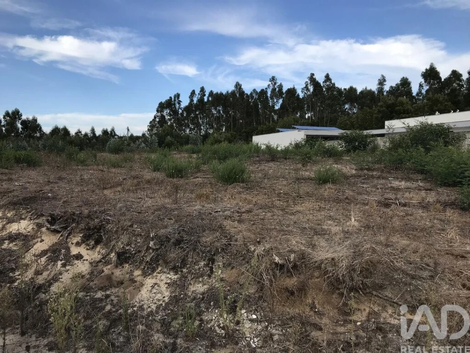 Terreno para Venda em Ovar, São João, Arada e São Vicente de Pereira Jusã Foto 20