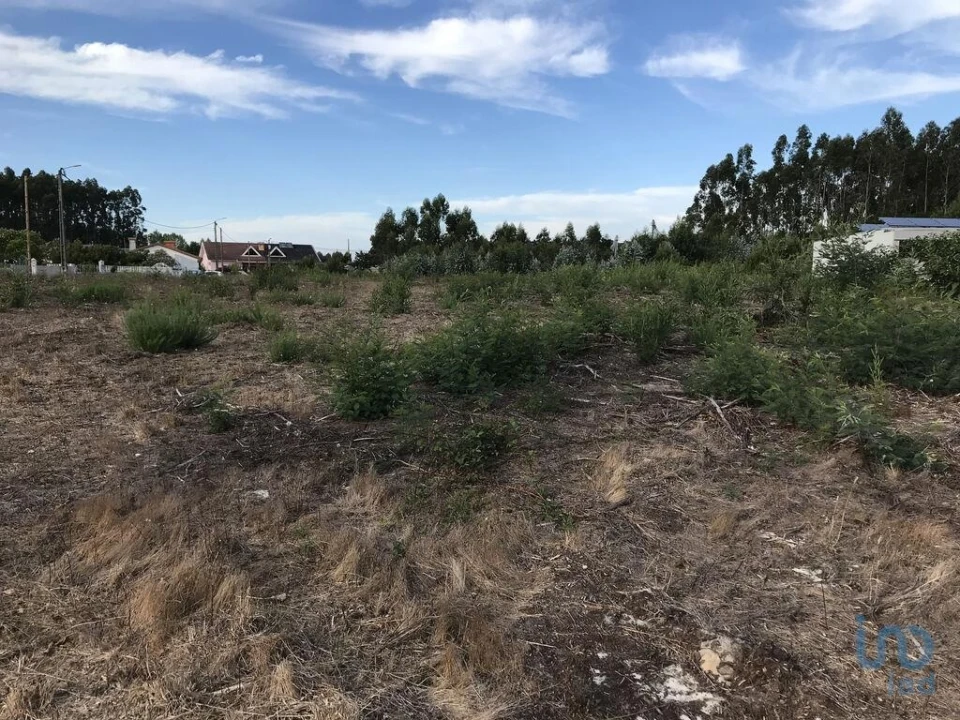 Terreno para Venda em Ovar, São João, Arada e São Vicente de Pereira Jusã Foto 1