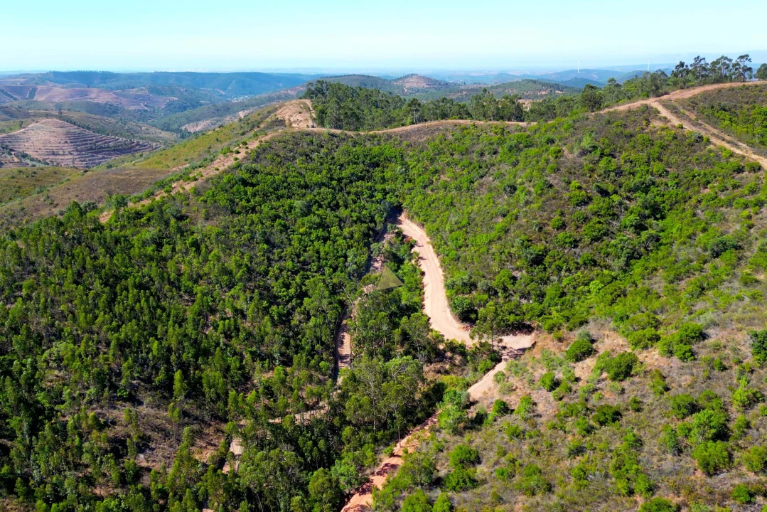Terreno para Venda em Marmelete Foto 7