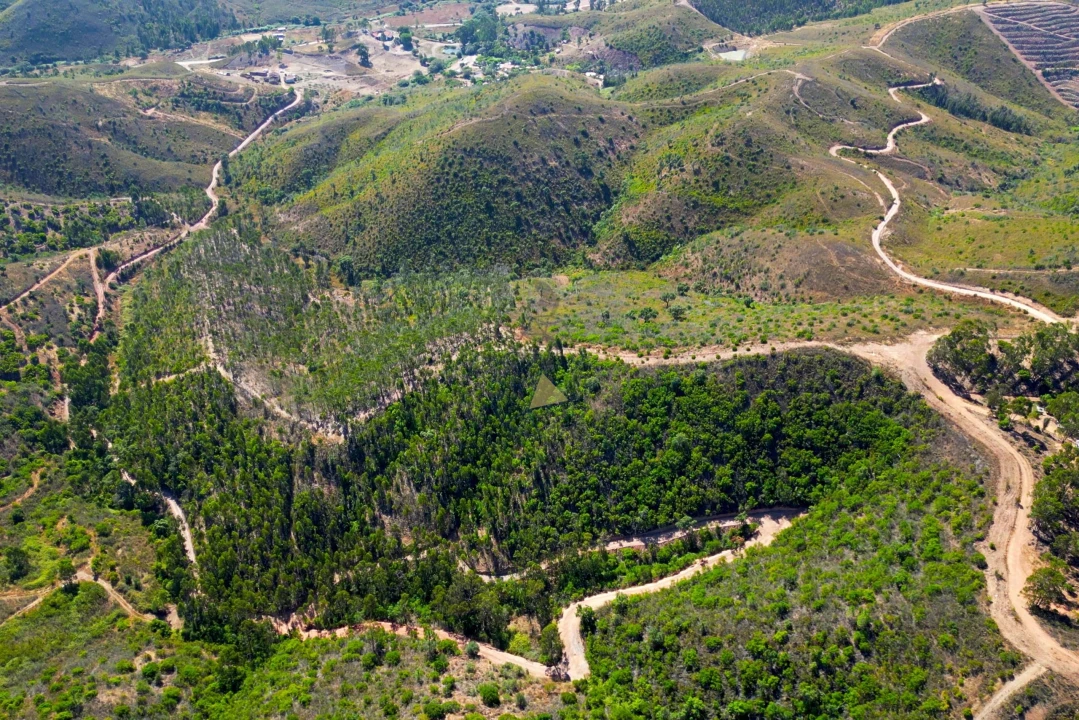 Terreno para Venda em Marmelete Foto 15
