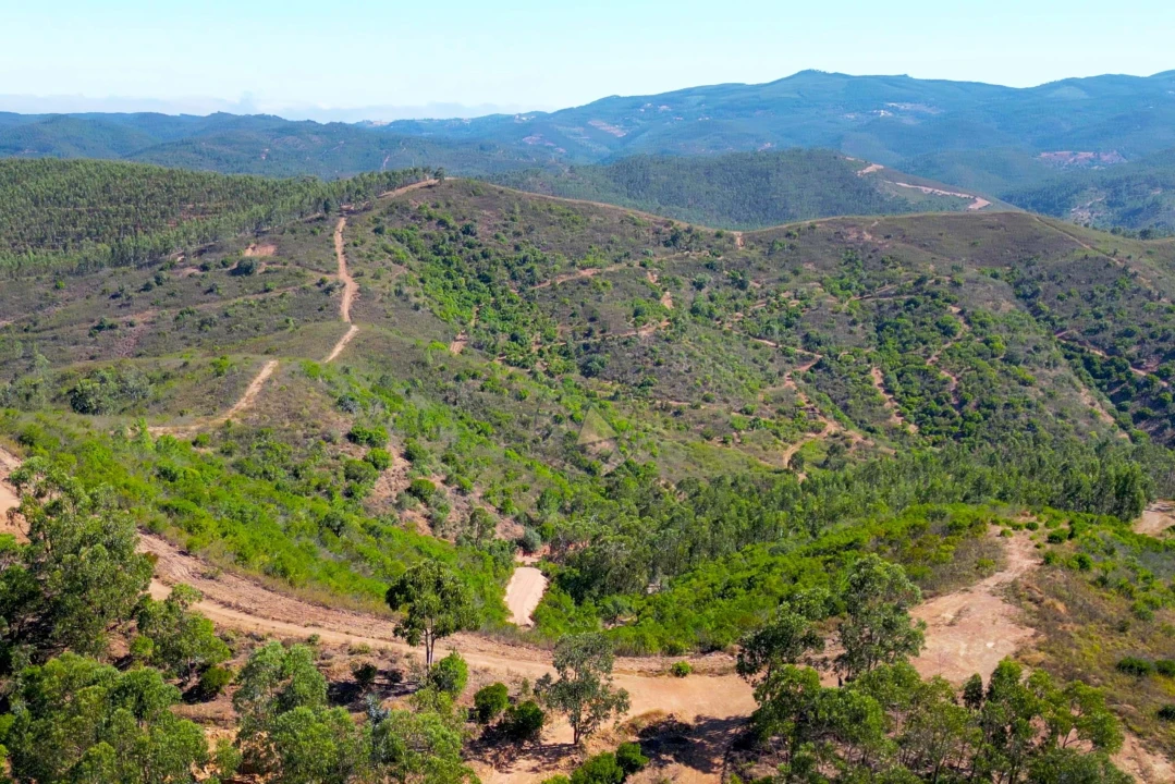 Terreno para Venda em Marmelete Foto 4