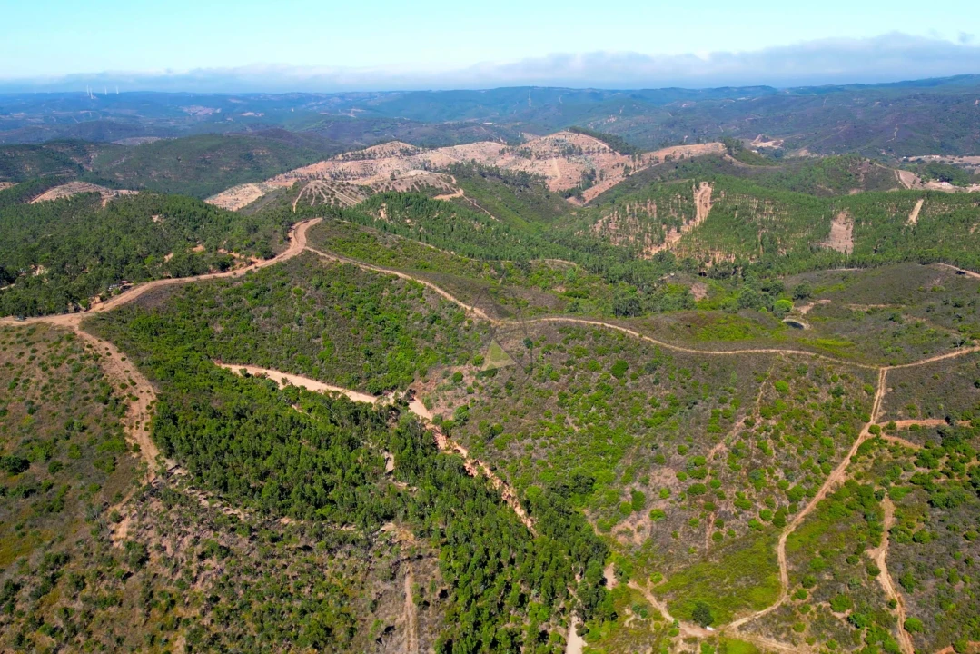 Terreno para Venda em Marmelete Foto 17