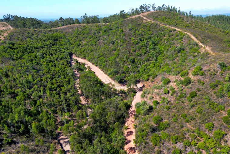 Terreno para Venda em Marmelete Foto 14