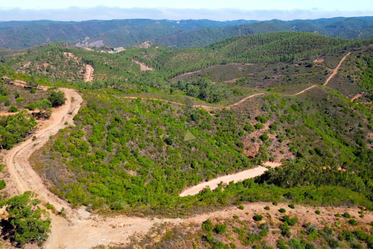 Terreno para Venda em Marmelete