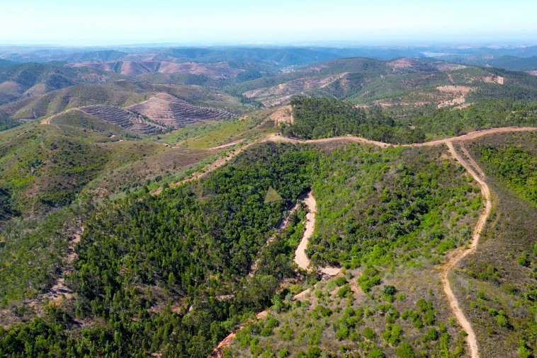 Terreno para Venda em Marmelete Foto 12