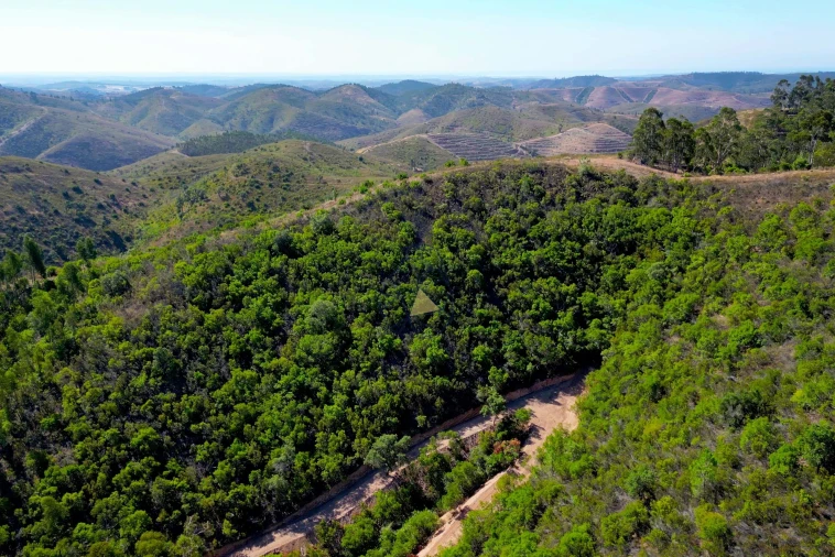 Terreno para Venda em Marmelete Foto 8