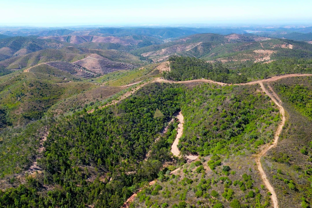 Terreno para Venda em Marmelete Foto 12