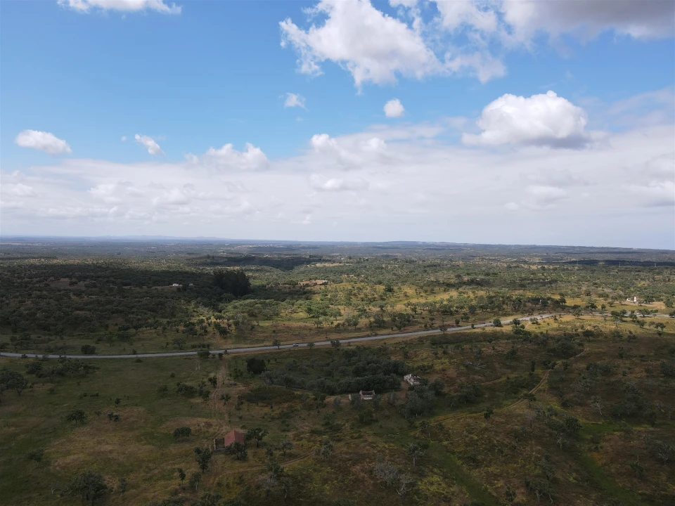 Terreno Agricola ou Rústico para Venda em Grândola e Santa Margarida da Serra Foto 12