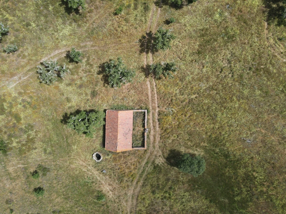 Terreno Agricola ou Rústico para Venda em Grândola e Santa Margarida da Serra Foto 4
