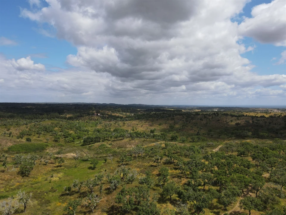 Terreno Agricola ou Rústico para Venda em Grândola e Santa Margarida da Serra Foto 2