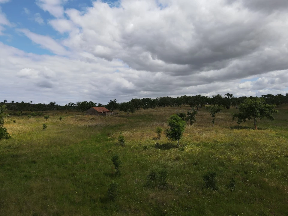 Terreno Agricola ou Rústico para Venda em Grândola e Santa Margarida da Serra Foto 16
