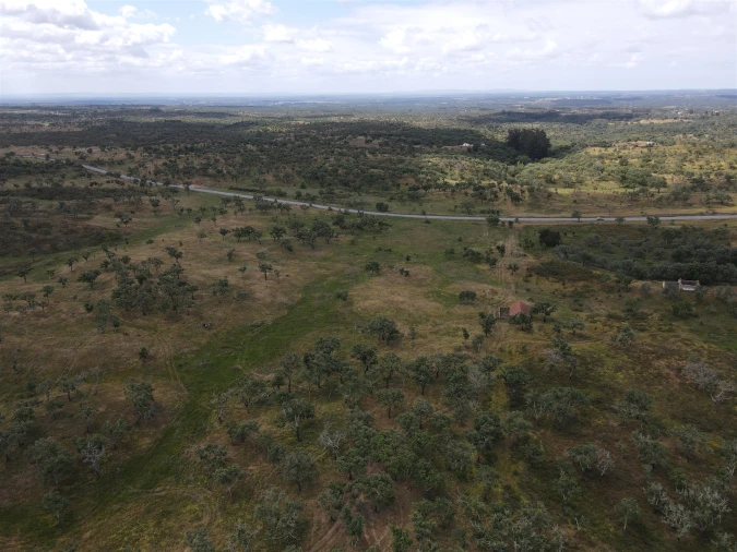 Terreno Agricola ou Rústico para Venda em Grândola e Santa Margarida da Serra Foto 13
