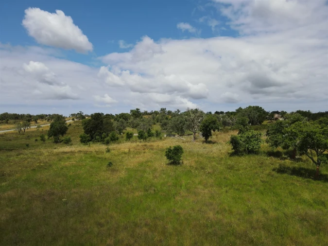 Terreno Agricola ou Rústico para Venda em Grândola e Santa Margarida da Serra Foto 18
