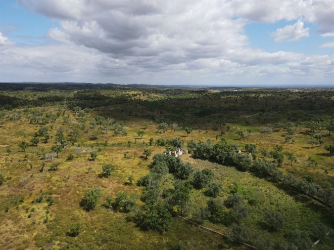Terreno Agricola ou Rústico para Venda em Grândola e Santa Margarida da Serra Foto 9
