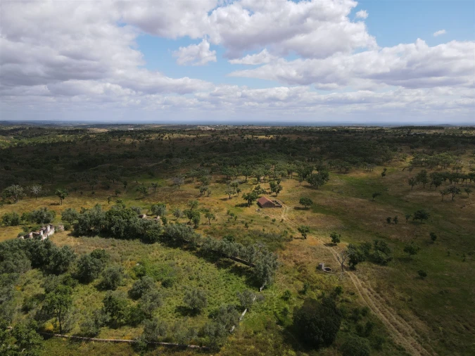 Terreno Agricola ou Rústico para Venda em Grândola e Santa Margarida da Serra Foto 10