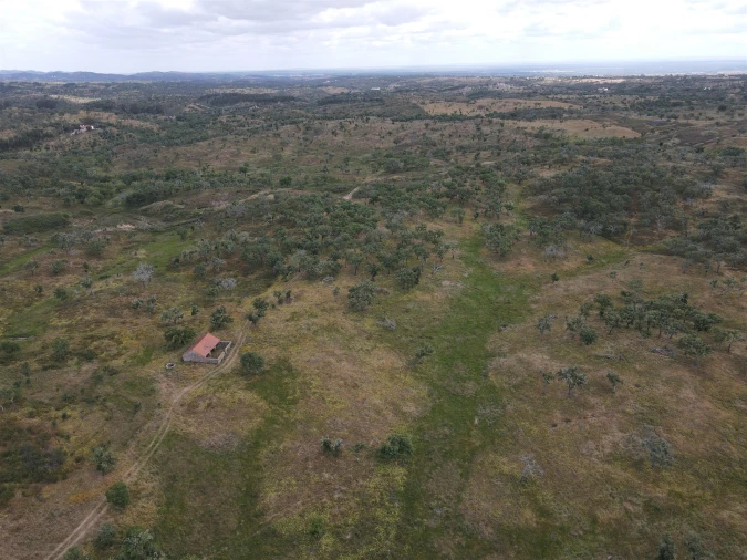 Terreno Agricola ou Rústico para Venda em Grândola e Santa Margarida da Serra Foto 14