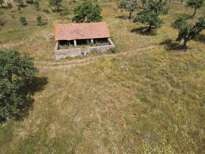 Terreno Agricola ou Rústico para Venda em Grândola e Santa Margarida da Serra Foto 5