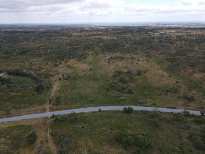 Terreno Agricola ou Rústico para Venda em Grândola e Santa Margarida da Serra Foto 20