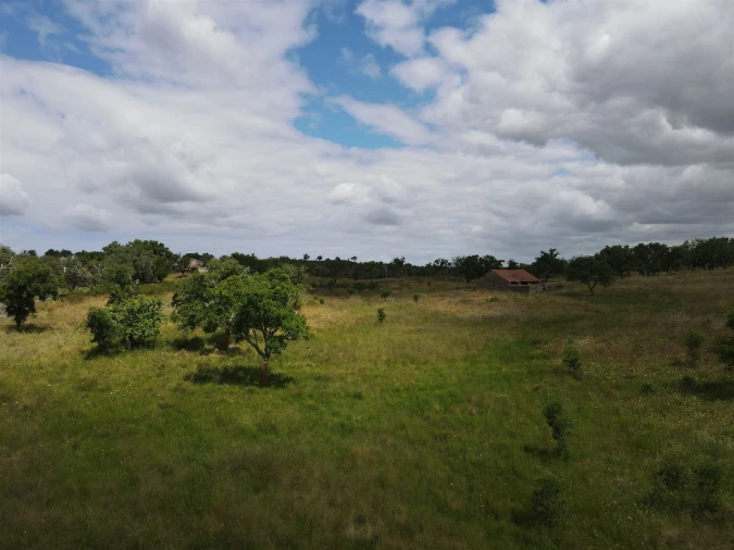 Terreno Agricola ou Rústico para Venda em Grândola e Santa Margarida da Serra Foto 17