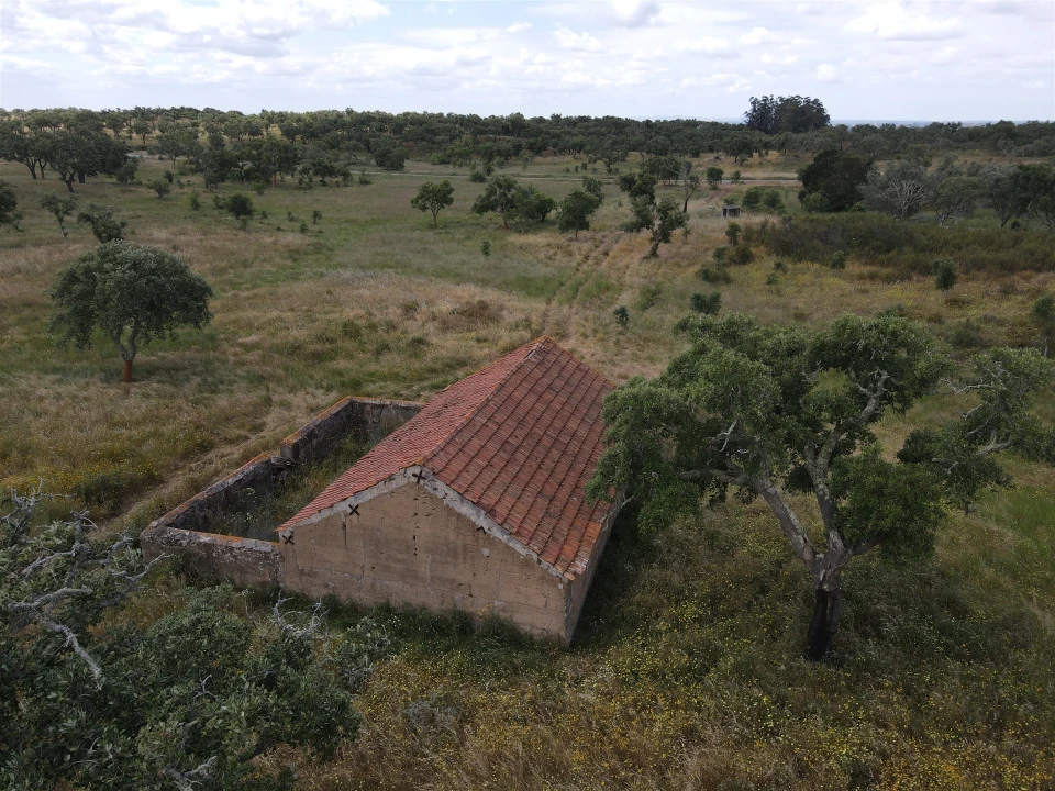Terreno Agricola ou Rústico para Venda em Grândola e Santa Margarida da Serra Foto 21