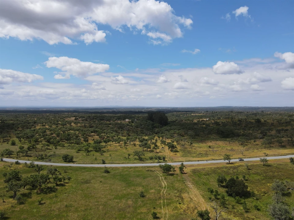 Terreno Agricola ou Rústico para Venda em Grândola e Santa Margarida da Serra Foto 3
