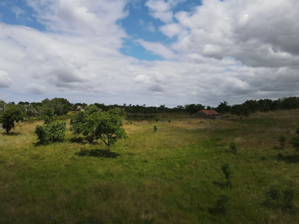 Terreno Agricola ou Rústico para Venda em Grândola e Santa Margarida da Serra Foto 17