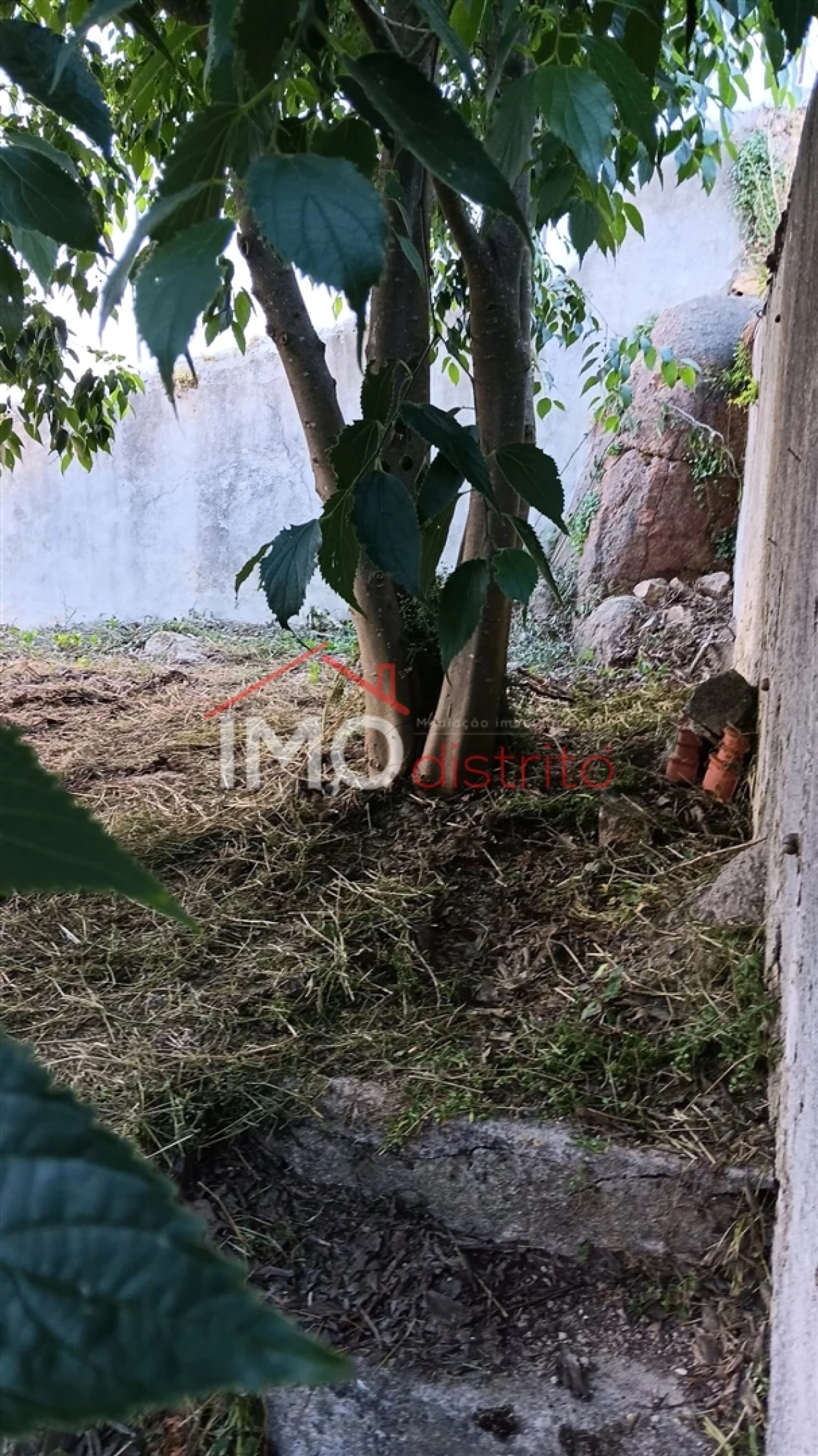 Moradia T0 para Venda em Beirã Foto 20