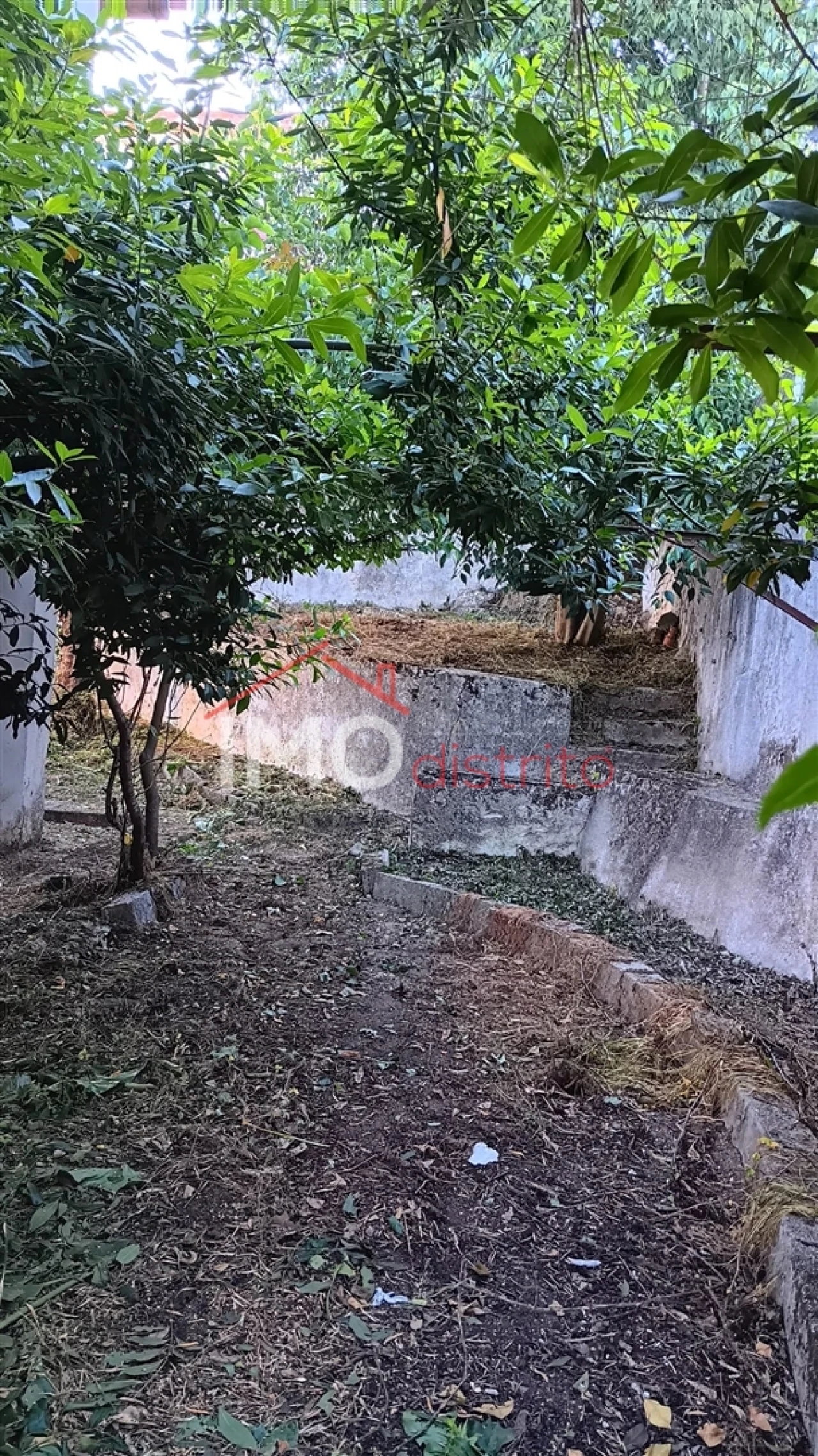 Moradia T0 para Venda em Beirã Foto 9