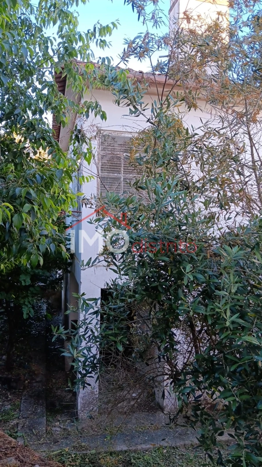 Moradia T0 para Venda em Beirã Foto 15