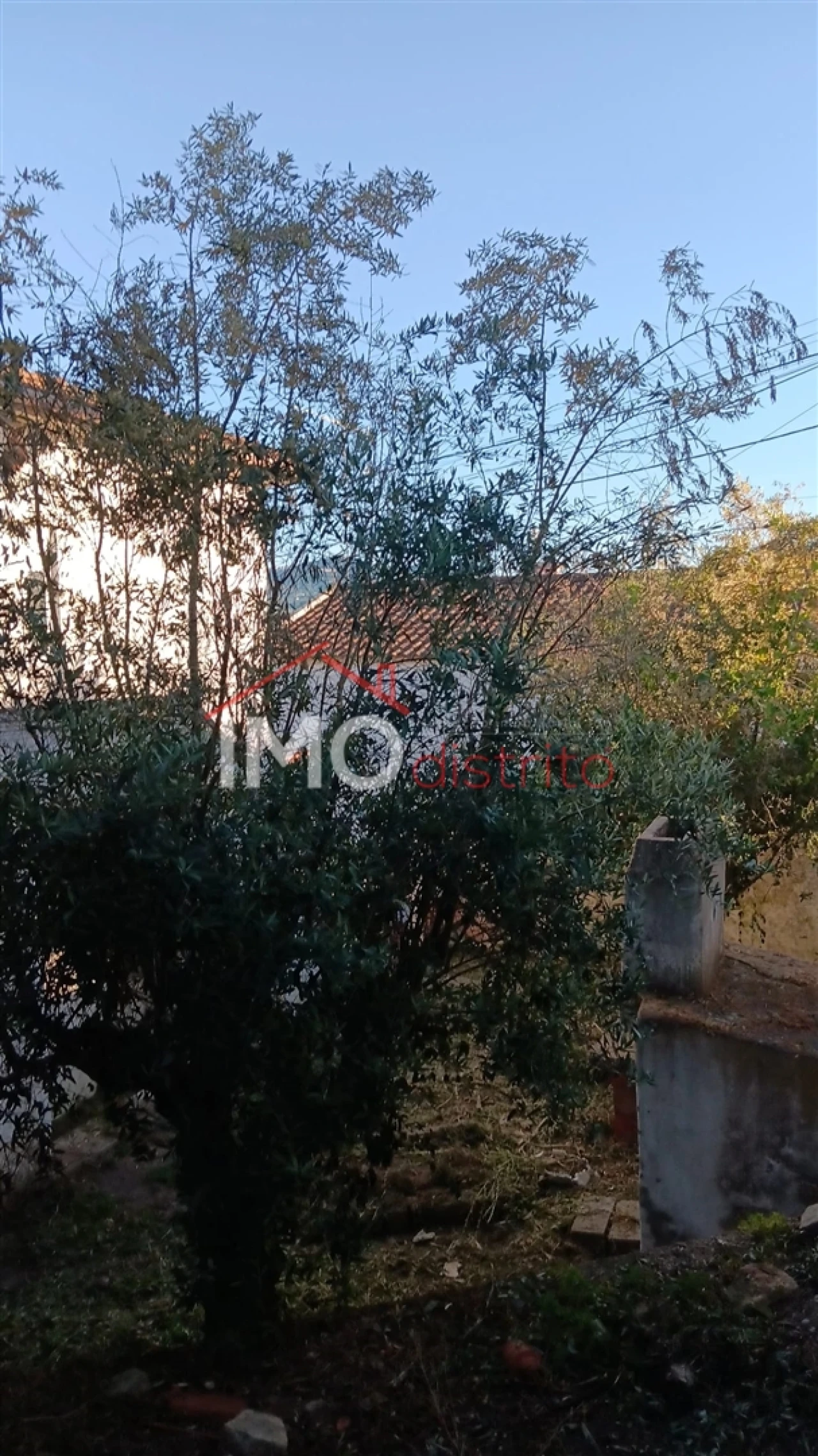 Moradia T0 para Venda em Beirã Foto 16