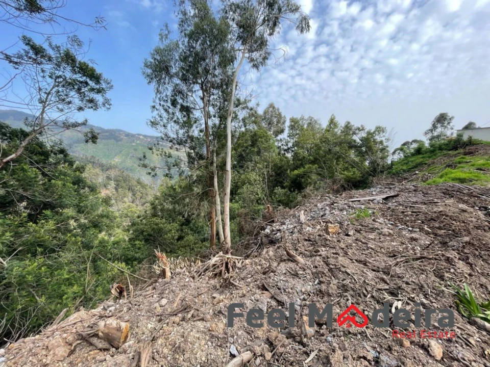 Terreno Agricola ou Rústico para Venda em Ribeira Brava Foto 7