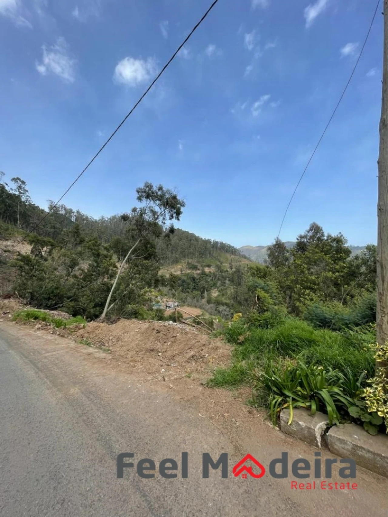 Terreno Agricola ou Rústico para Venda em Ribeira Brava Foto 8