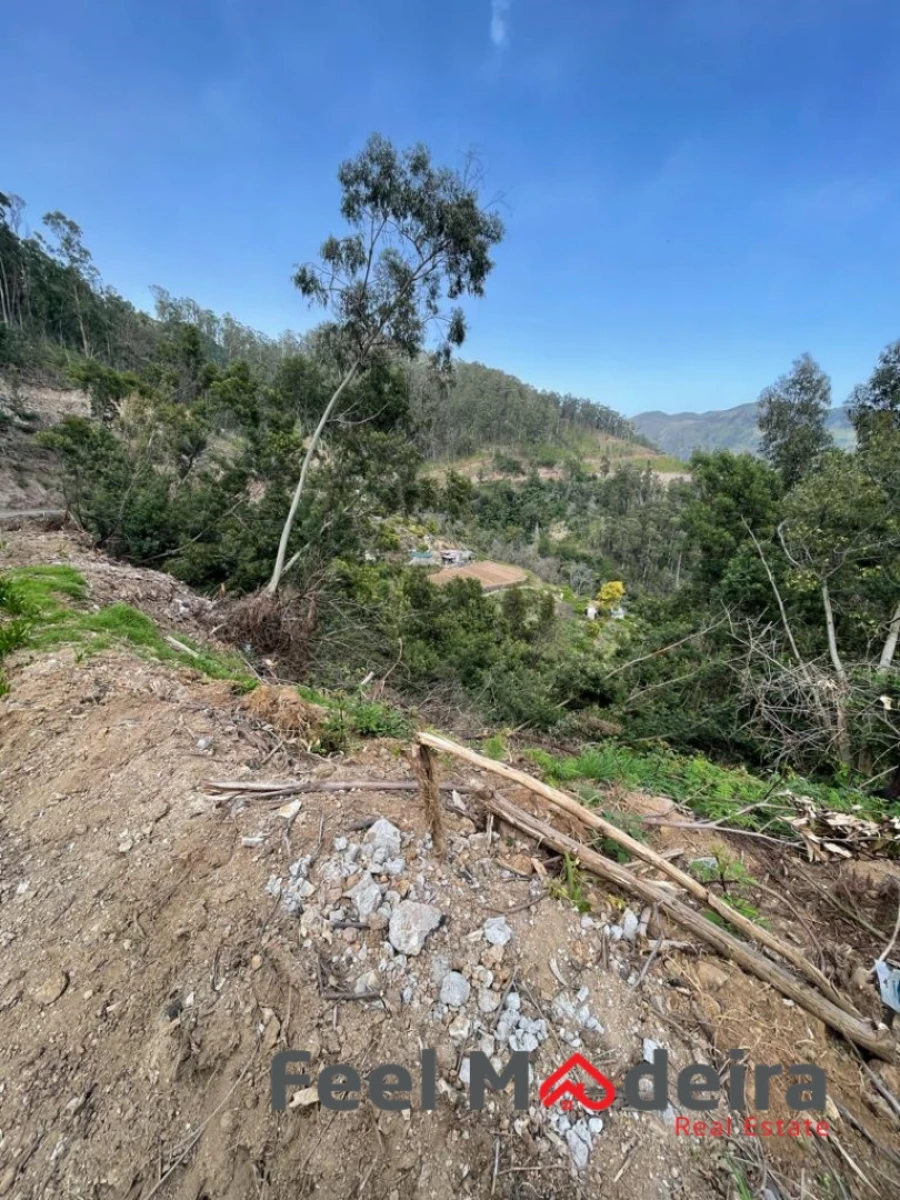 Terreno Agricola ou Rústico para Venda em Ribeira Brava Foto 6
