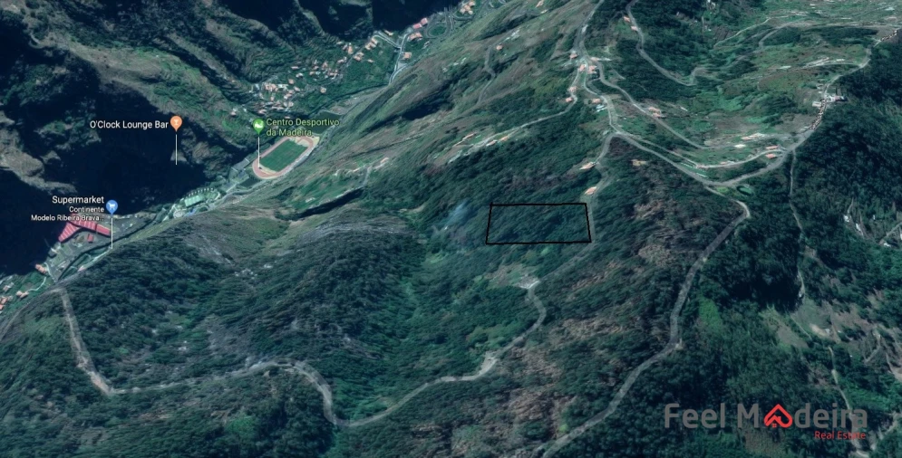 Terreno Agricola ou Rústico para Venda em Ribeira Brava Foto 12