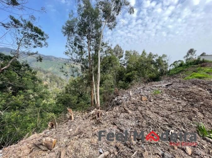 Terreno Agricola ou Rústico para Venda em Ribeira Brava Foto 7