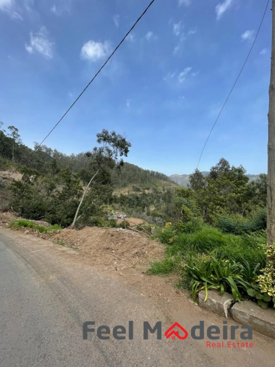 Terreno Agricola ou Rústico para Venda em Ribeira Brava Foto 8