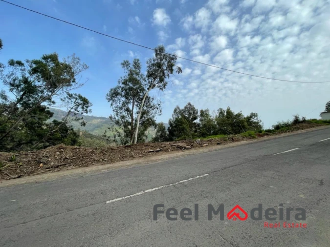 Terreno Agricola ou Rústico para Venda em Ribeira Brava Foto 1