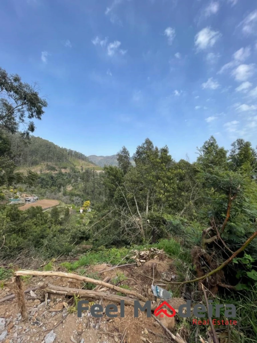 Terreno Agricola ou Rústico para Venda em Ribeira Brava Foto 9