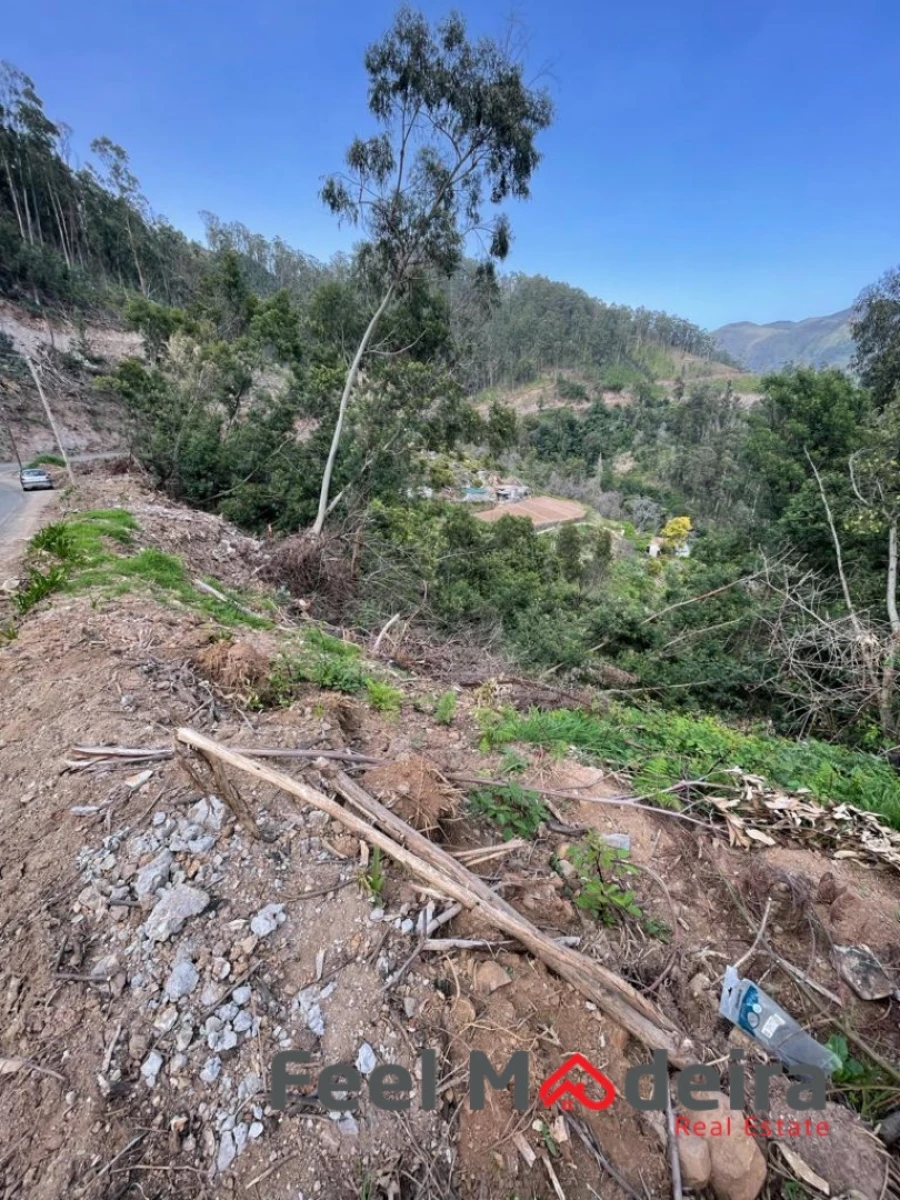 Terreno Agricola ou Rústico para Venda em Ribeira Brava Foto 10