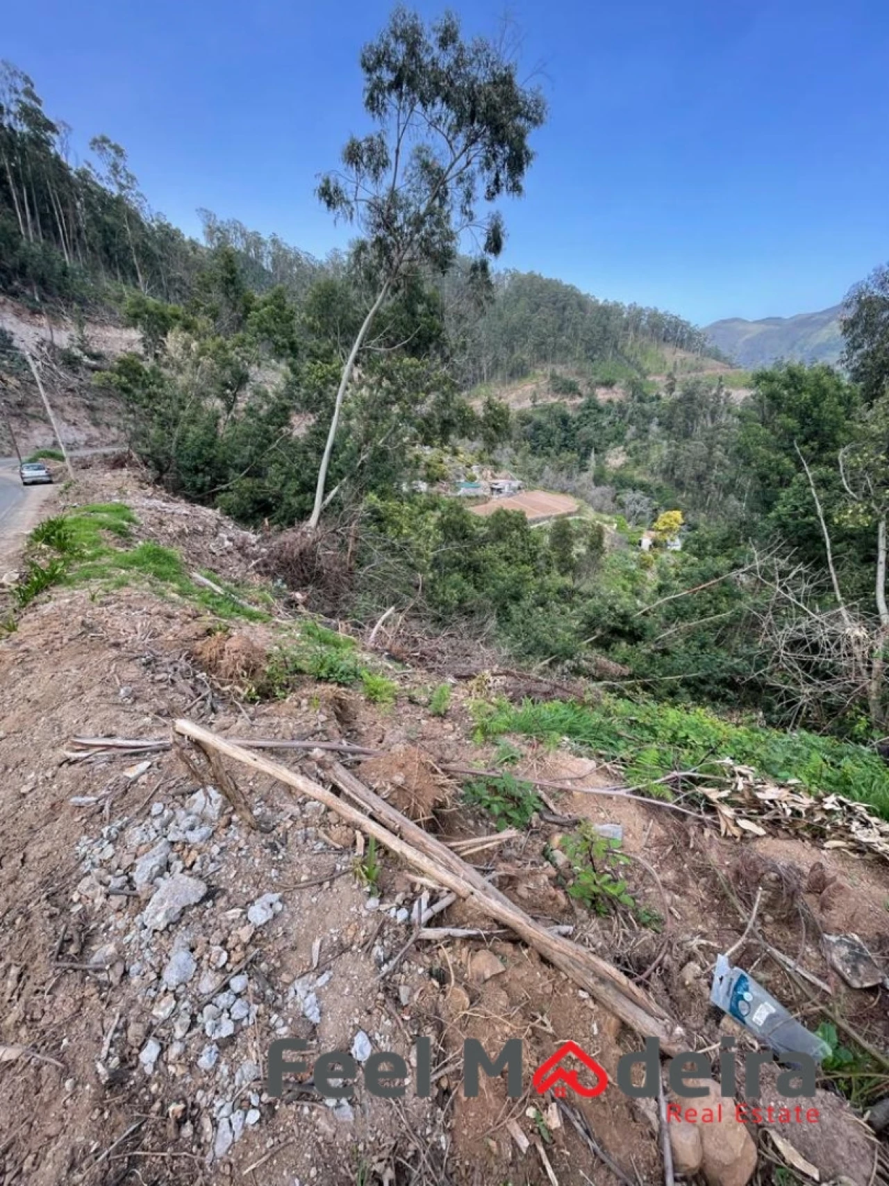 Terreno Agricola ou Rústico para Venda em Ribeira Brava Foto 10