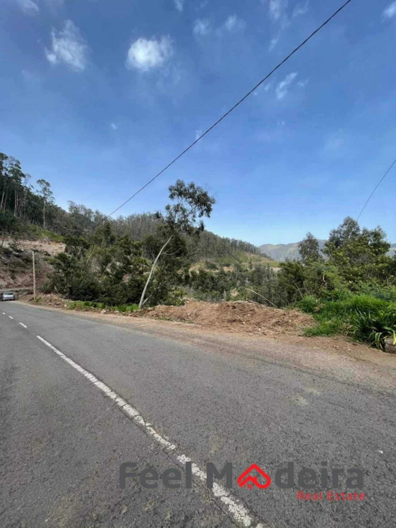 Terreno Agricola ou Rústico para Venda em Ribeira Brava Foto 11