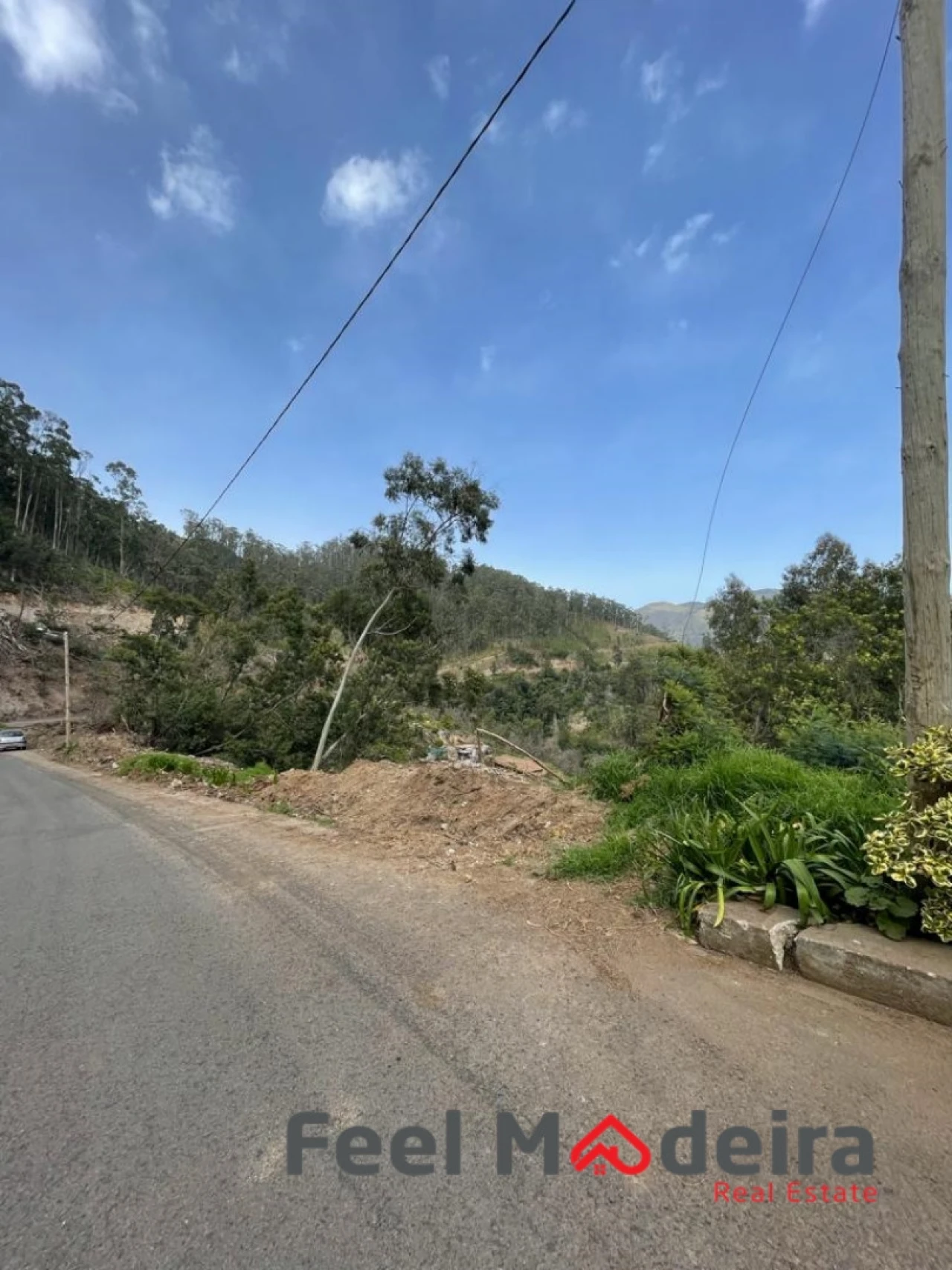 Terreno Agricola ou Rústico para Venda em Ribeira Brava Foto 3