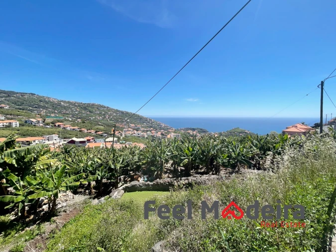 Terreno Agricola ou Rústico para Venda em Ribeira Brava Foto 1