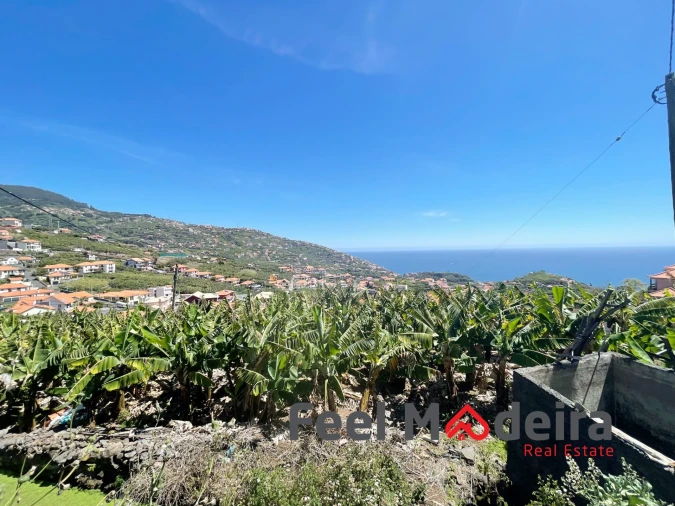 Terreno Agricola ou Rústico para Venda em Ribeira Brava Foto 6