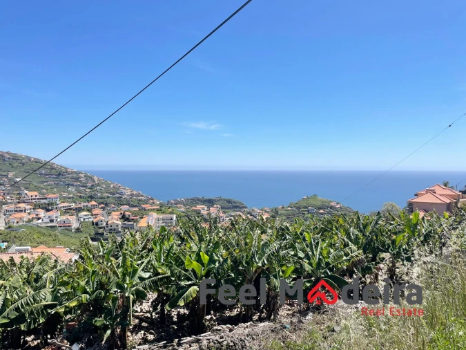 Terreno Agricola ou Rústico para Venda em Ribeira Brava Foto 3