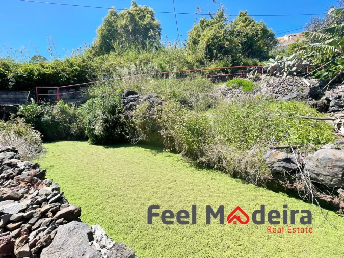 Terreno Agricola ou Rústico para Venda em Ribeira Brava Foto 9