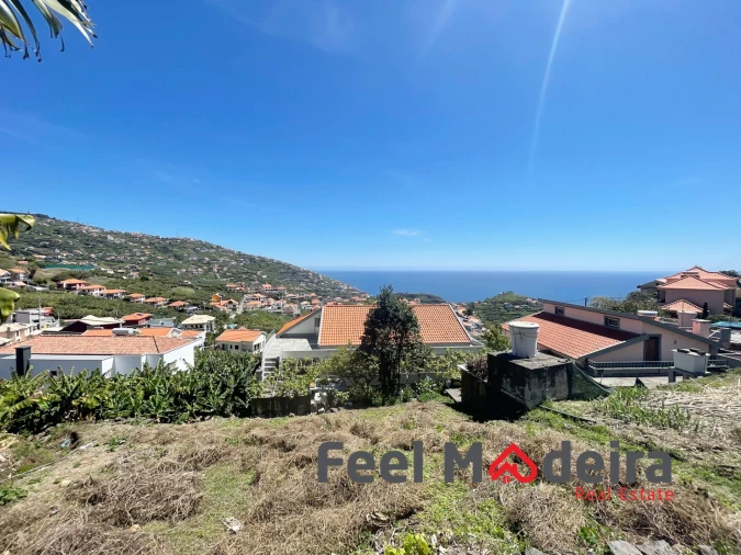 Terreno Agricola ou Rústico para Venda em Ribeira Brava Foto 8