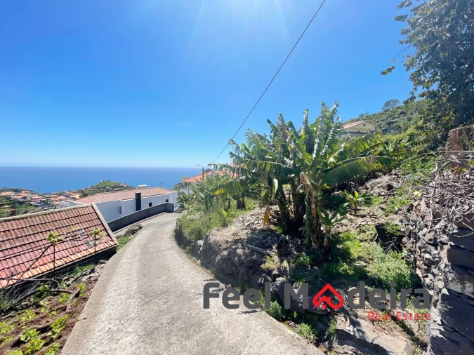 Terreno Agricola ou Rústico para Venda em Ribeira Brava Foto 2